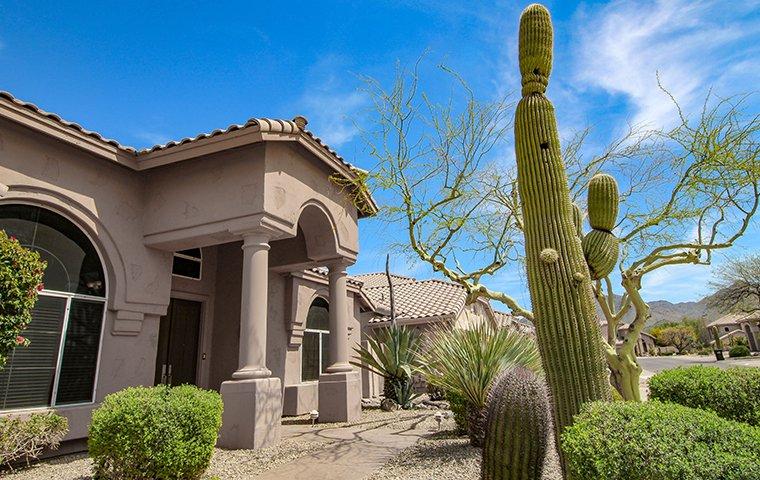 street view of a home with a big cactus
